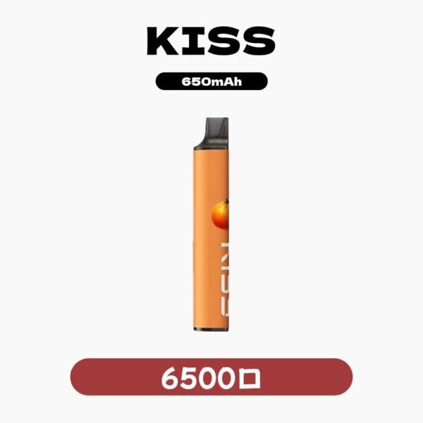 imgi_8_82b6b6f604b36f7f87c5c0e5cb7f96b1 KIS5鎧斯拋棄式6500口